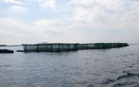 aquaculture program